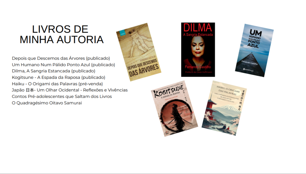 Fernando Castilho - Livros de minha autoria